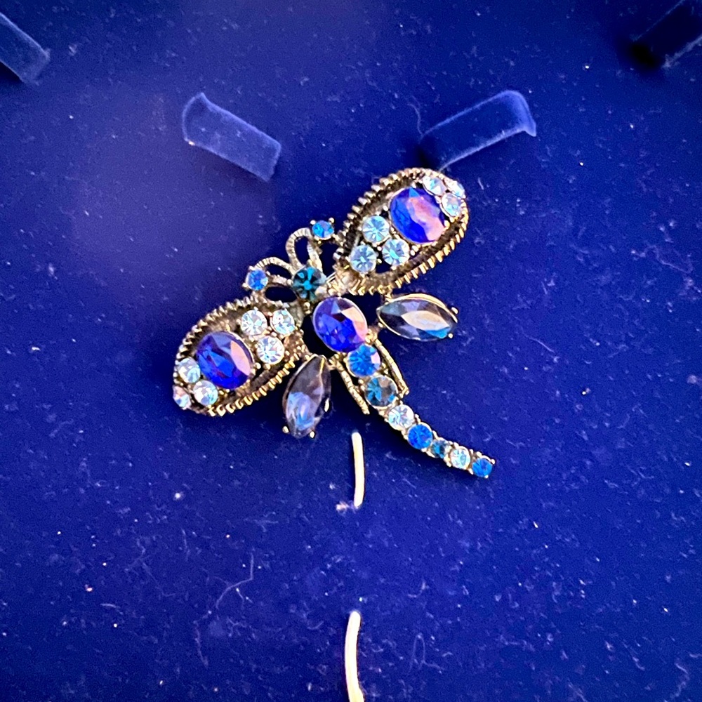 Dragonfly pin-vintage
